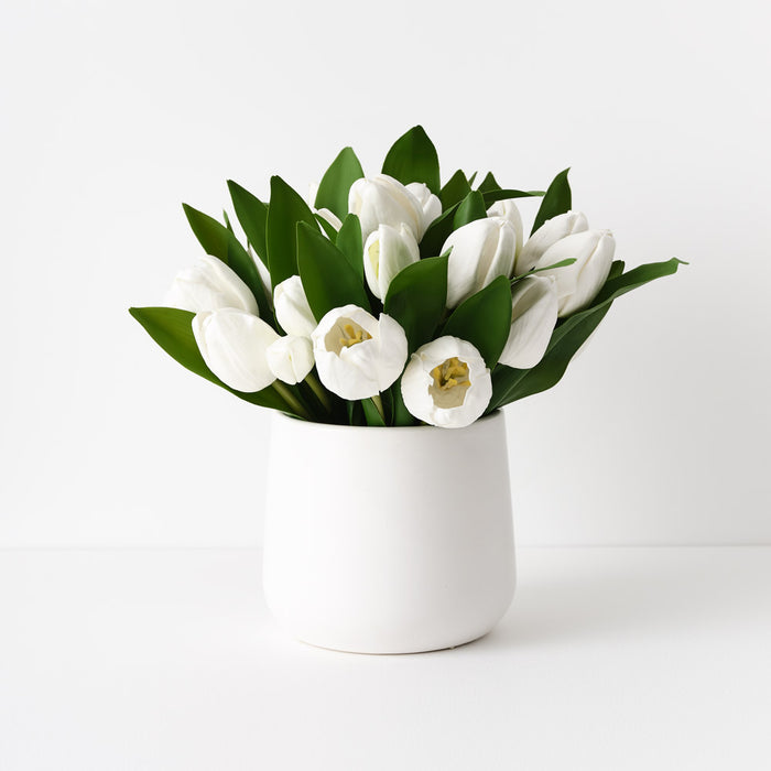 Tulip Mix in Pot 28cm White