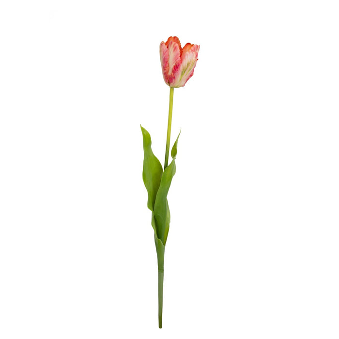 Tulip Pink Stem 60cm Pack of 6