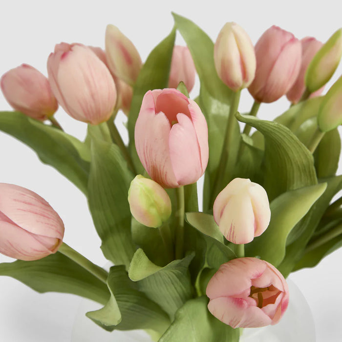 Tulip Pink in Water Vase, 30cm