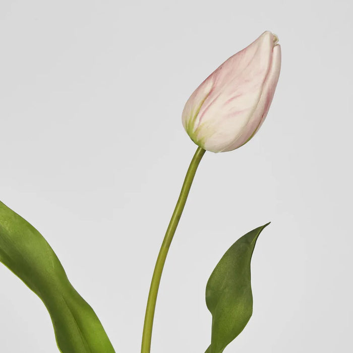 Tulip Stem Soft Touch 57cm Light Pink Pack of 12