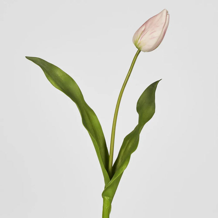 Tulip Stem Soft Touch 57cm Light Pink Pack of 12