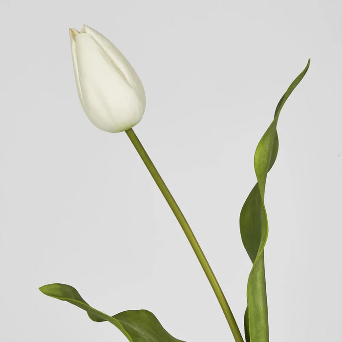 Tulip Stem Soft Touch 57cm White Pack of 12