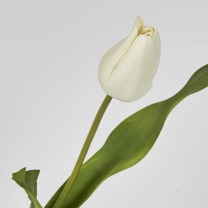 Tulip Stem Soft Touch 57cm White Pack of 12