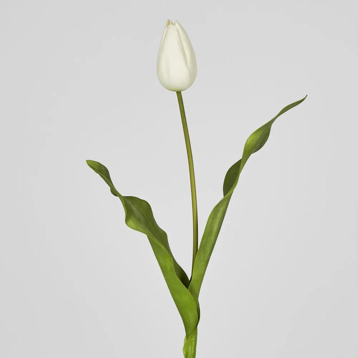 Tulip Stem Soft Touch 57cm White Pack of 12