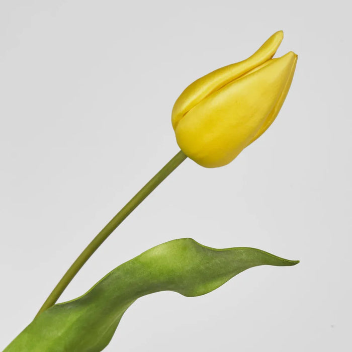 Tulip Stem Soft Touch 57cm Yellow Pack of 12