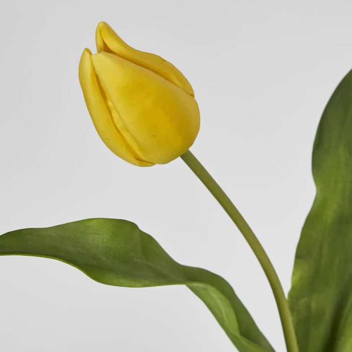 Tulip Stem Soft Touch 57cm Yellow Pack of 12