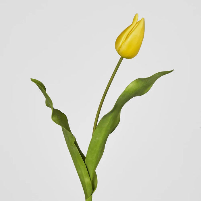 Tulip Stem Soft Touch 57cm Yellow Pack of 12