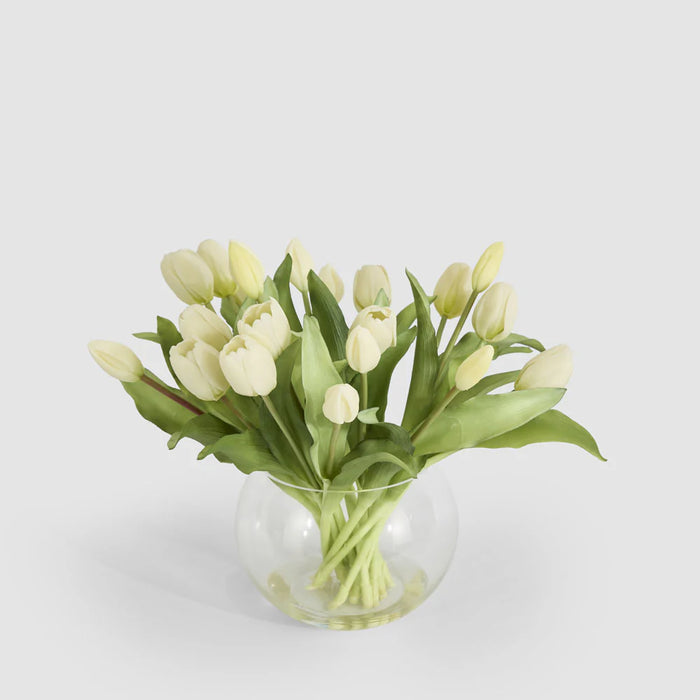 Tulip White in Water Vase, 30cm