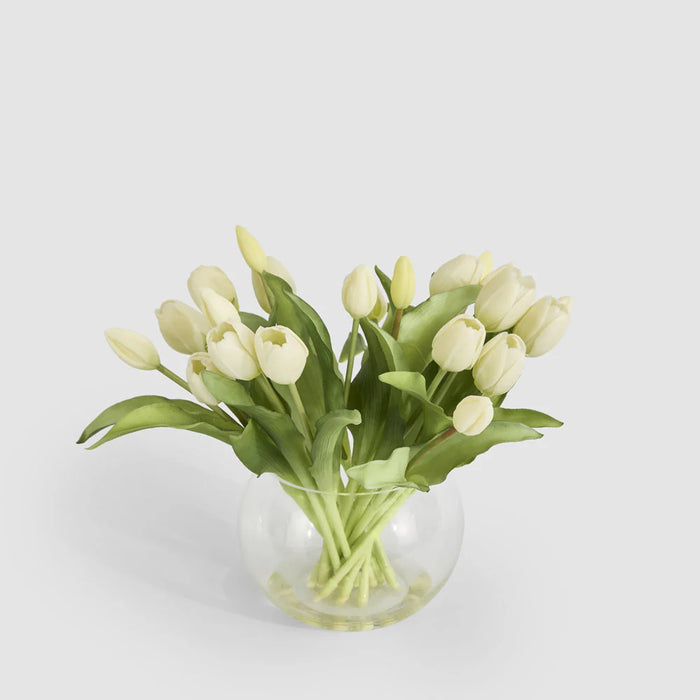 Tulip White in Water Vase, 30cm
