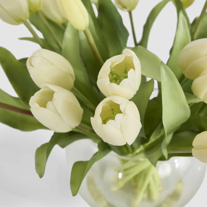 Tulip White in Water Vase, 30cm