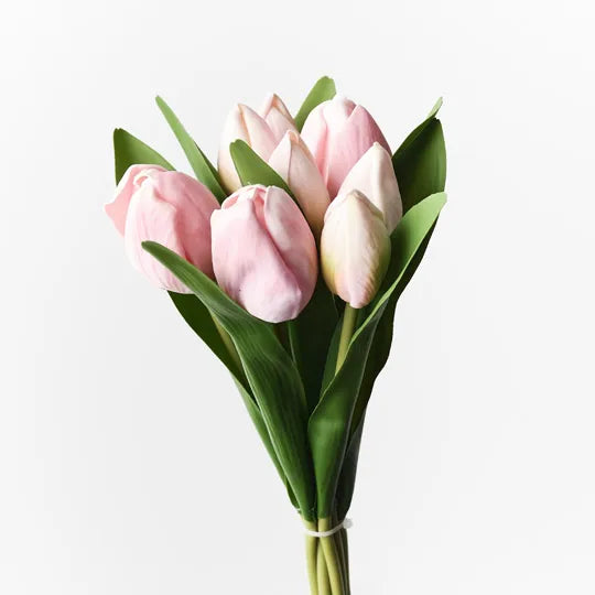 Tulip Wrap Bouquet Pink 30cm - Pack of 6