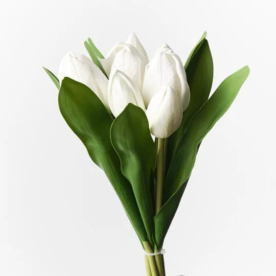 Tulip Wrap Bouquet White 30cm - Pack of 6