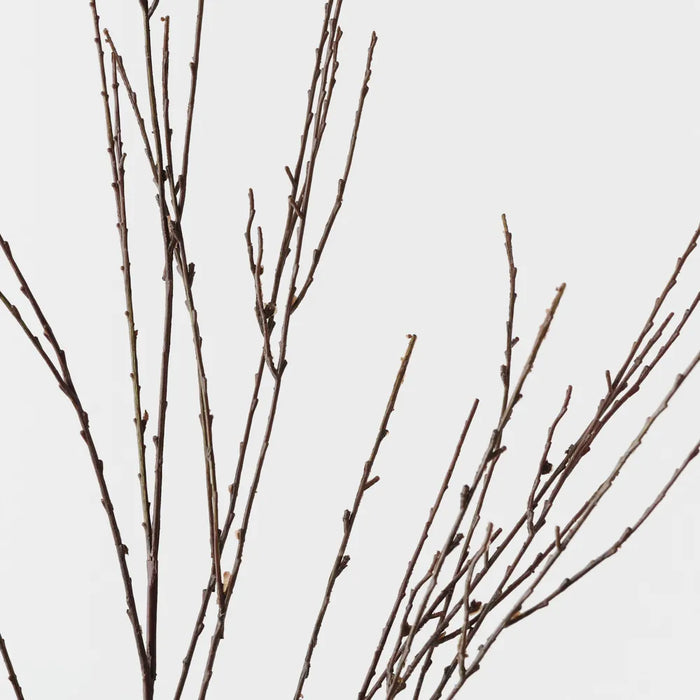 Twig Spray 133cm Brown- Pack of 12