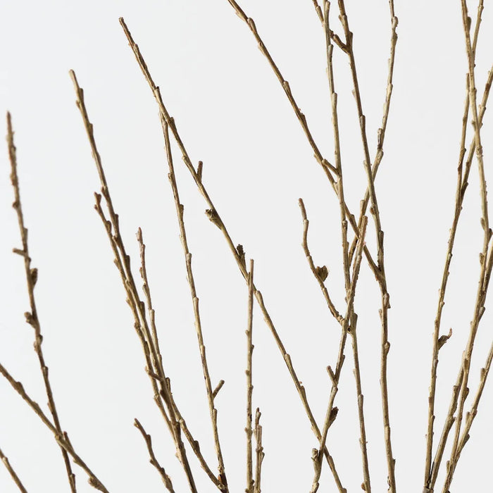 Twig Spray 133cm Natural- Pack of 12