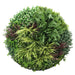 Slimline Artificial Green Wall Disc Art Grassy Fern 100cm - FLORA DESIGNS