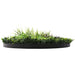 Slimline Artificial Green Wall Disc Art Grassy Fern 100cm - FLORA DESIGNS