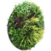 Slimline Artificial Green Wall Disc Art Grassy Fern 100cm - FLORA DESIGNS