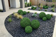 Boxwood Topiary Ball 28cm - FLORA DESIGNS