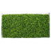 Mixed Boxwood Hedge X 100cmx50cm - FLORA DESIGNS