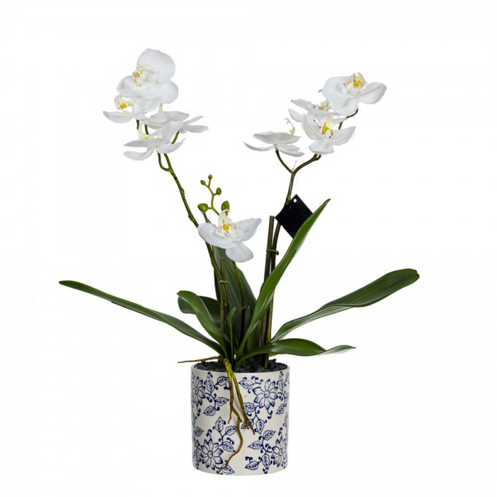 Orchid in Hampton Pot - 55cm