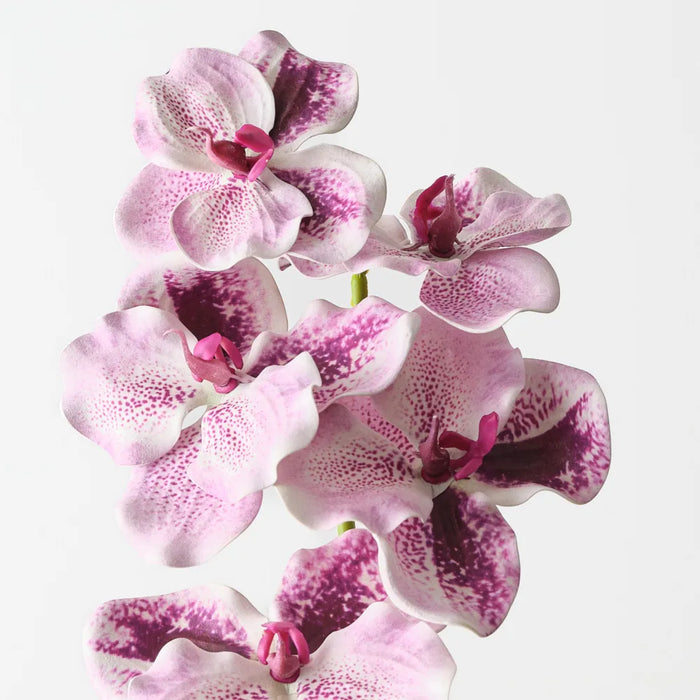Vanda Orchid 66cm Lavender - Pack of 12