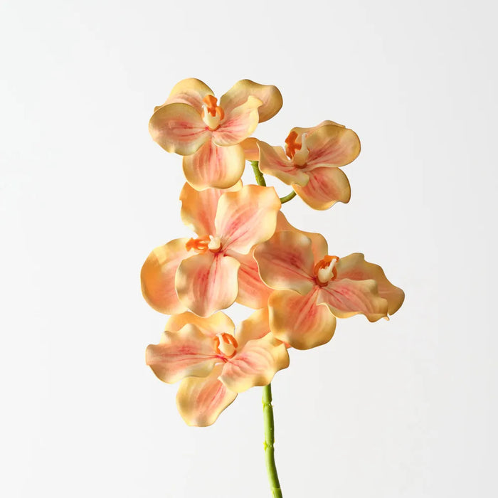 Vanda Orchid 66cm Yellow Orange - Pack of 12