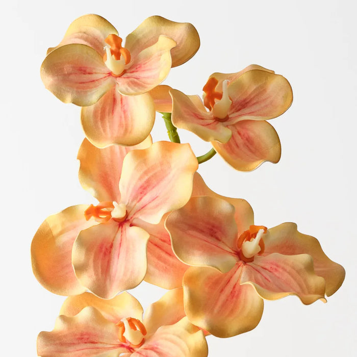 Vanda Orchid 66cm Yellow Orange - Pack of 12