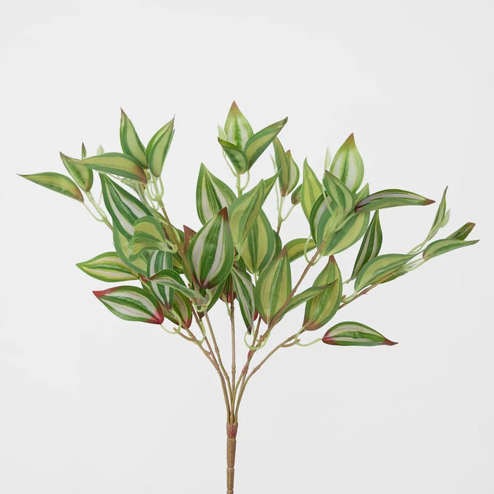 Wandering Jew Leaf Spray 45cm Green Pack of 24