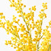 Wattle Spray Yellow 48cm - Pack of 12