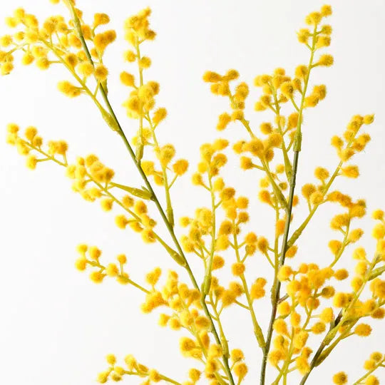 Wattle Spray Yellow 69cm - Pack of 12