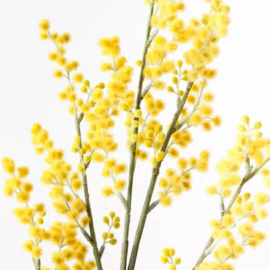 Wattle Spray Yellow 99cm - Pack of 12