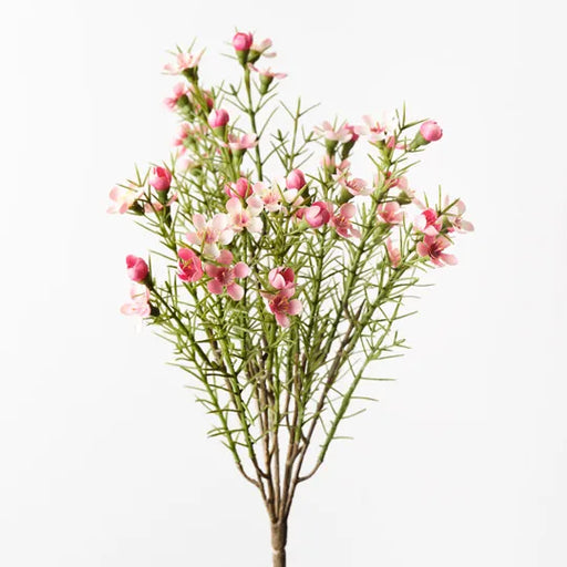 Wax Flower Bush Pink 33cm - Pack of 12