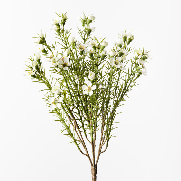 Wax Flower Bush White 33cm - Pack of 12