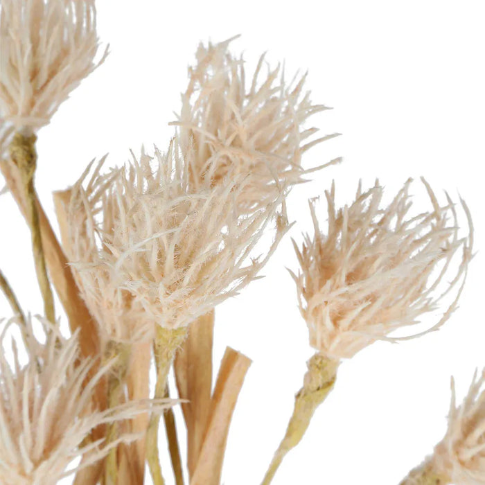 Wheat Flower Stem 75cm White Pack of 12