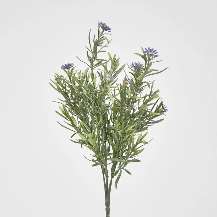 Wild Daisy Bush Purple 70cm Pack of 24