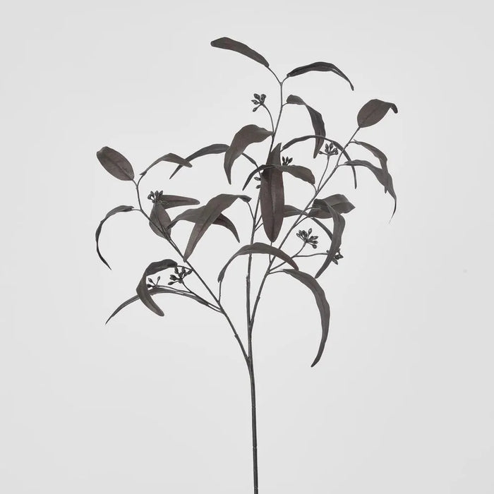 Willow Eucalyptus Black Spray 72cm Pack of 12