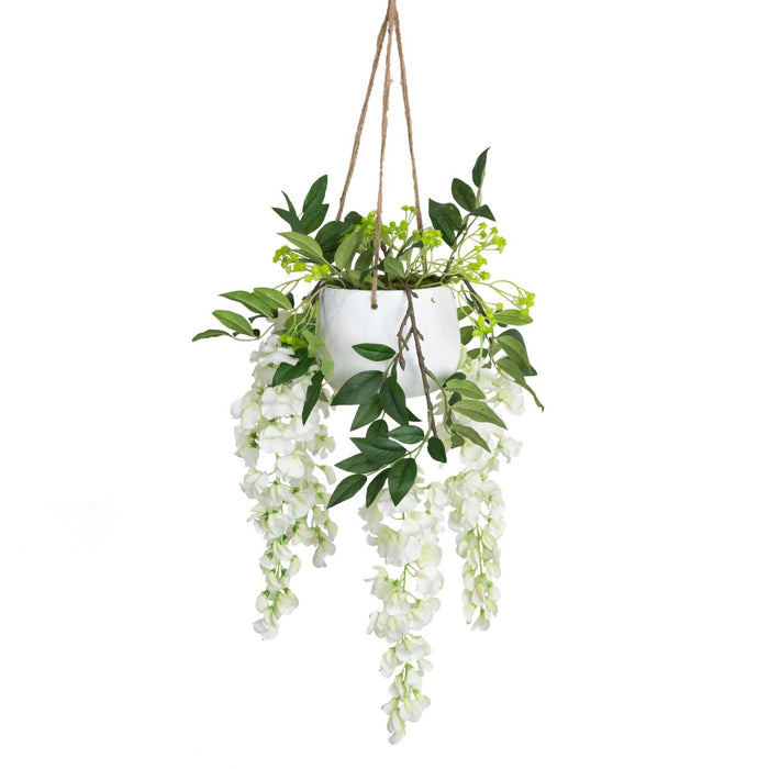 Wisteria in Hanging Planter 75cm