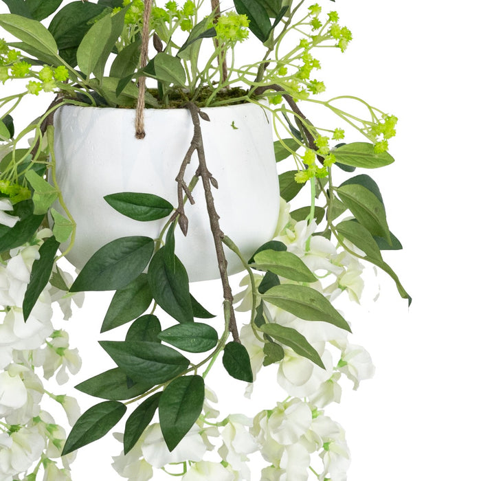 Wisteria in Hanging Planter 75cm