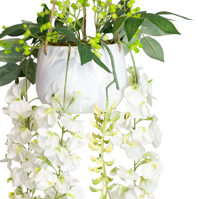 Wisteria in Hanging Planter 95cm