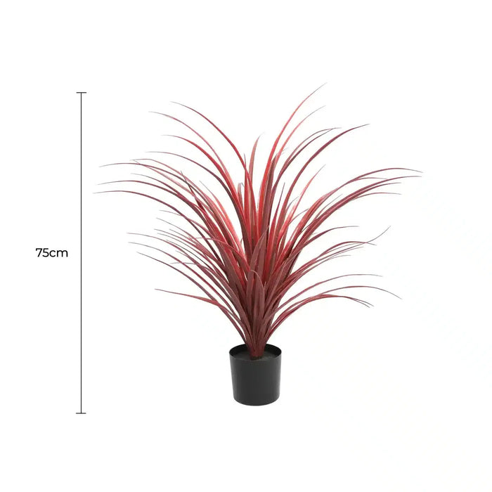 Yucca Long Grass Burgundy UV Resistant in Pot 75cm