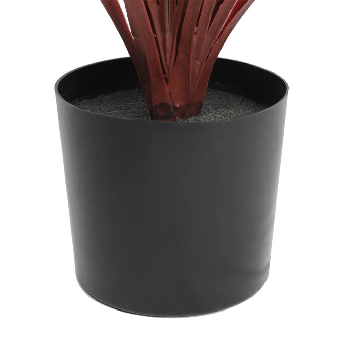 Yucca Long Grass Burgundy UV Resistant in Pot 75cm