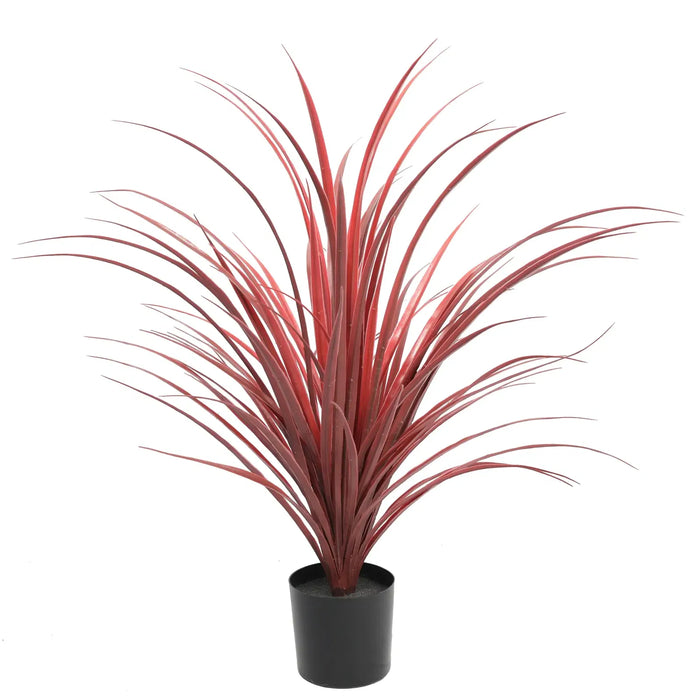 Yucca Long Grass Burgundy UV Resistant in Pot 75cm