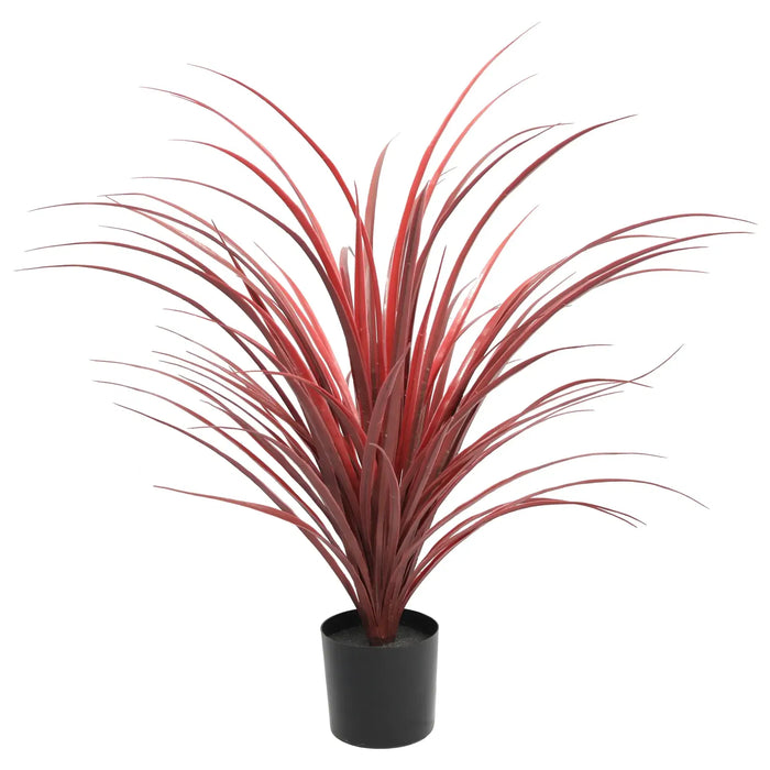 Yucca Long Grass Burgundy UV Resistant in Pot 75cm