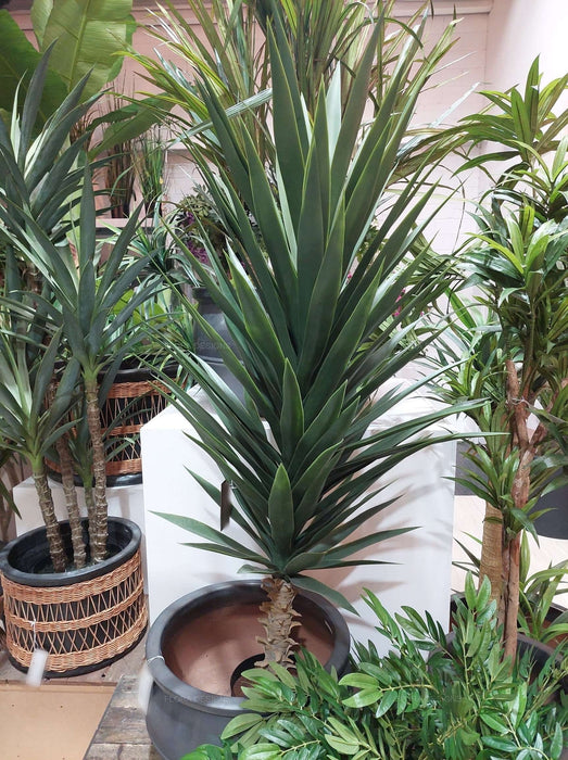 Yucca Plant with Pot 130cm