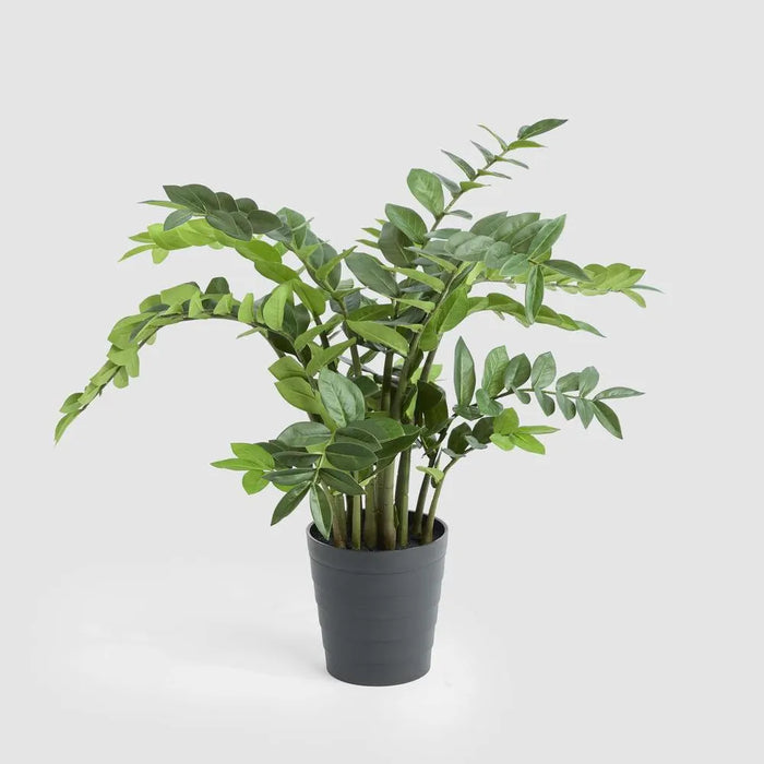 Zanzibar Plant Real Touch 95cm