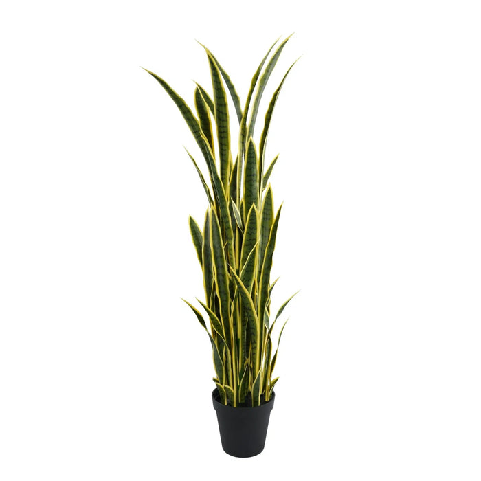 Artificial Snake Plant (Sansevieria) 150cm - FLORA DESIGNS