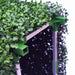 Artificial Boxwood Hedge 75cmx75cm - FLORA DESIGNS