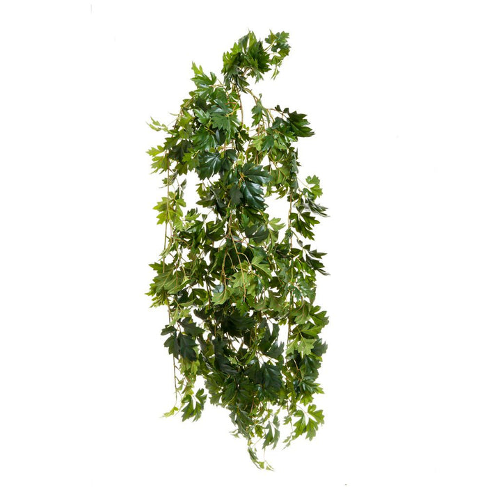 Cissus Bush UV Resistant Coated Hanging 110cm