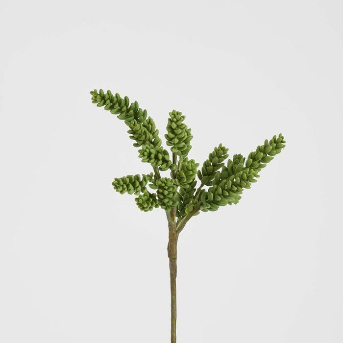 Succulent 37cm Pack of 12