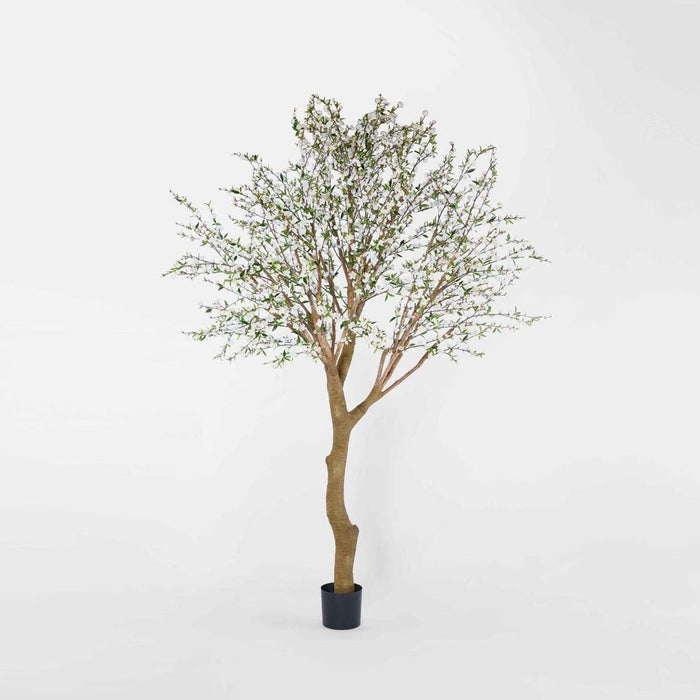 Giant Cherry Blossom Tree White 240cm